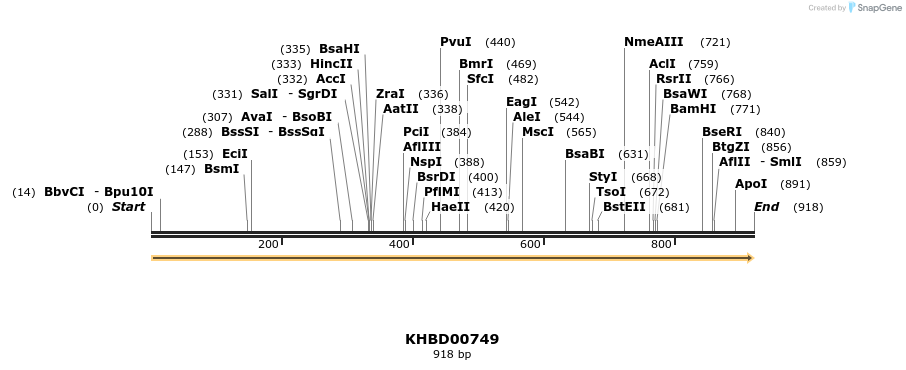 50195_map