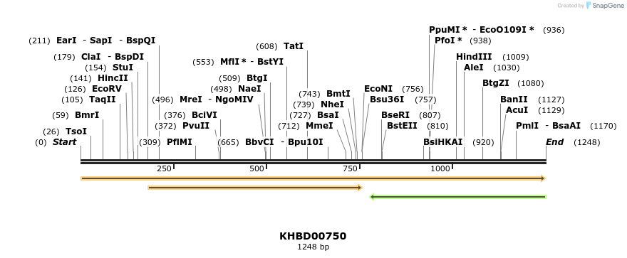 50196_map