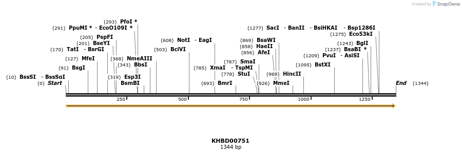 50197_map