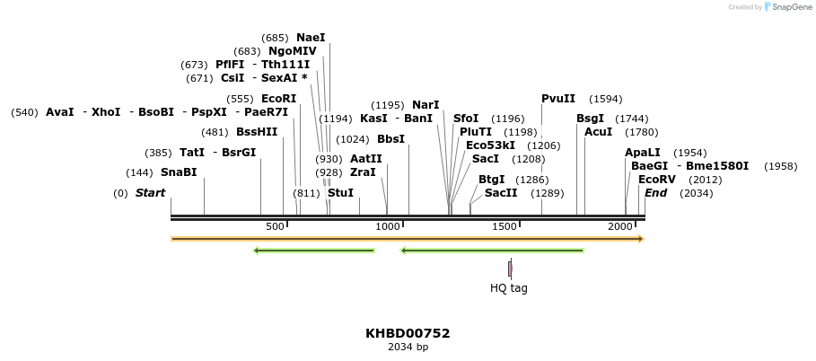 50198_map