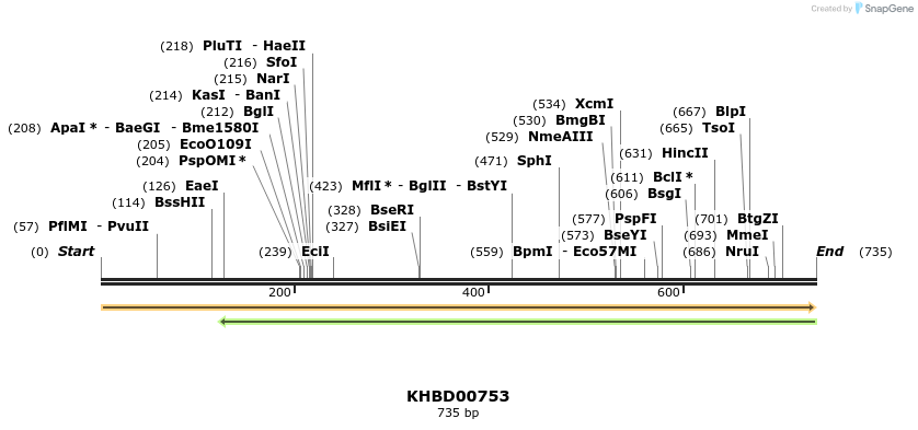 50199_map