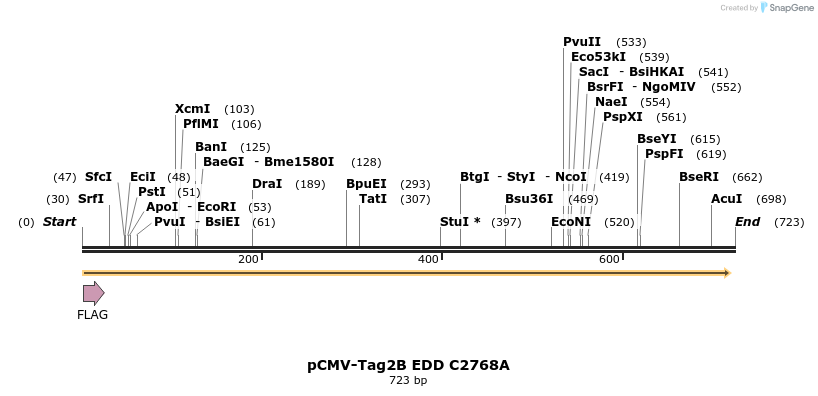 50202_map