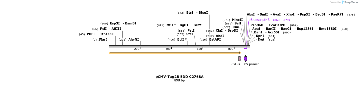 50204_map