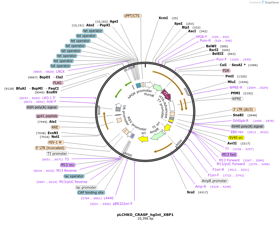 502184_map