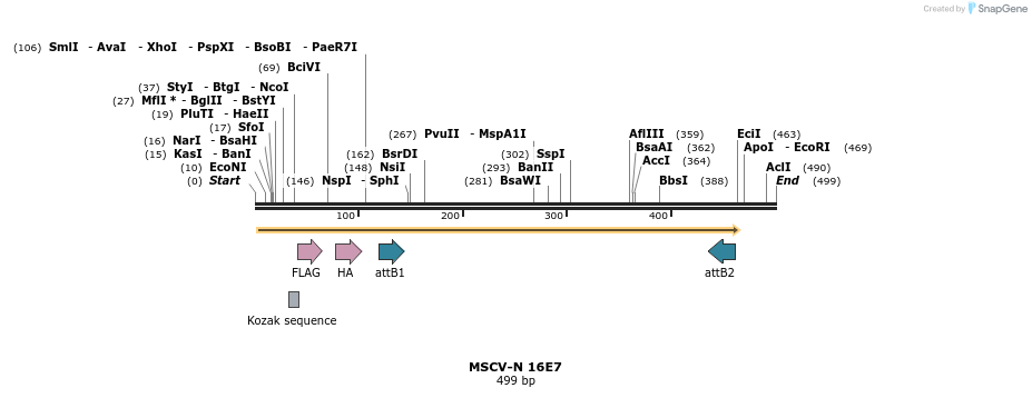50220_map