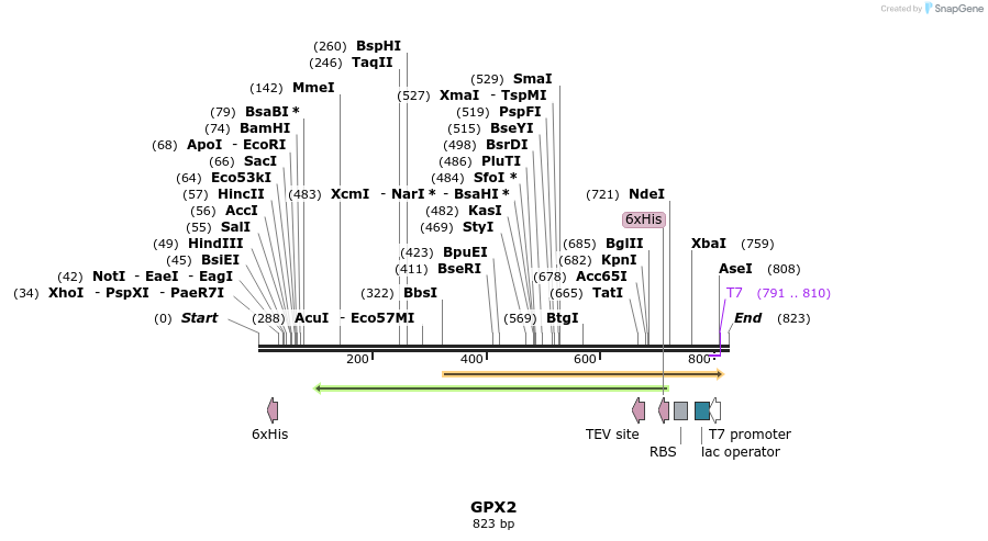 50228_map