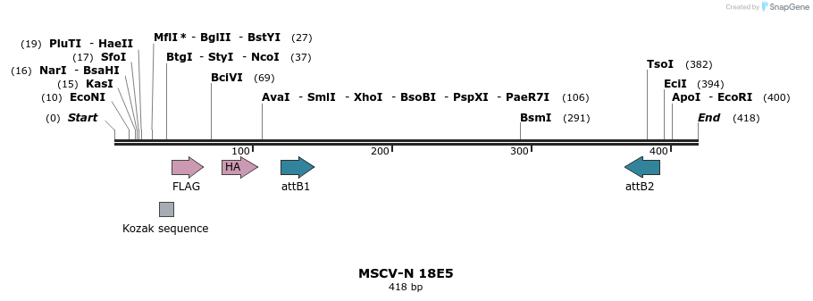 50229_map