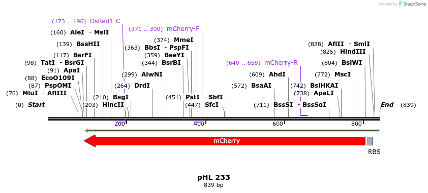 50235_map