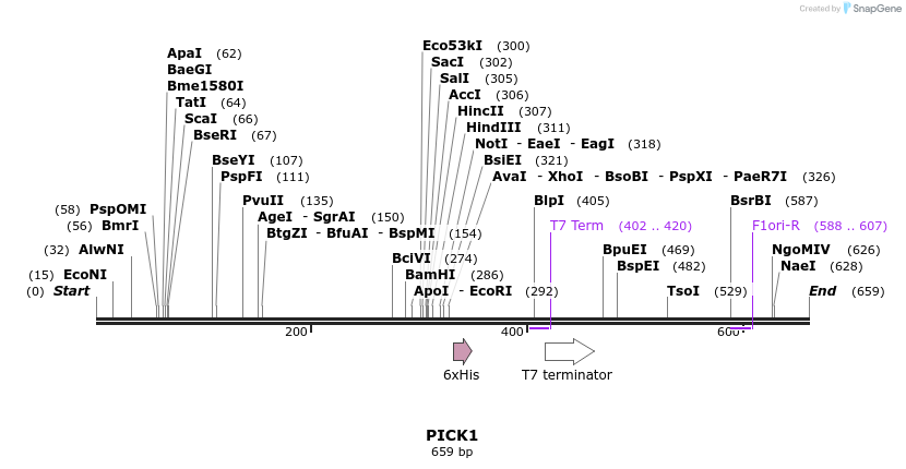 50236_map