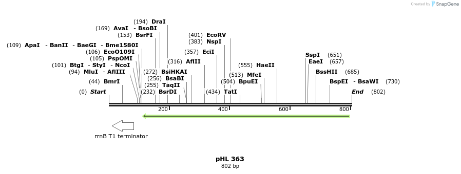 50239_map