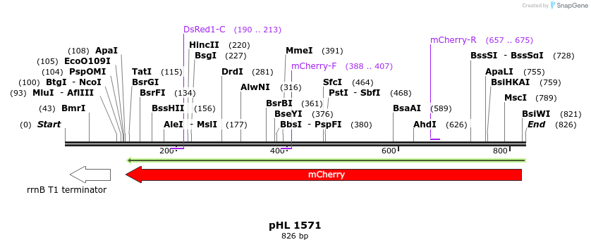 50241_map