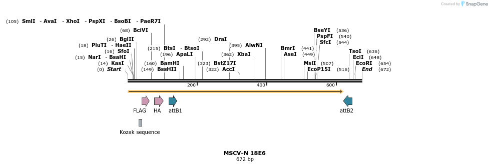 50245_map