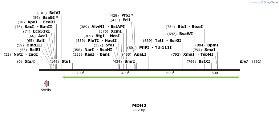 50249_map