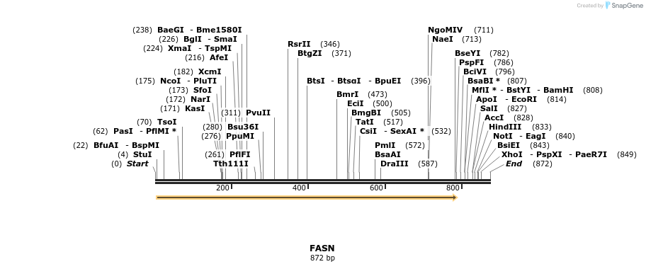 50250_map