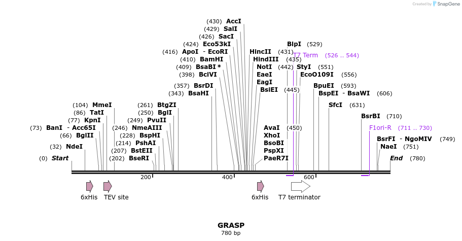 50255_map