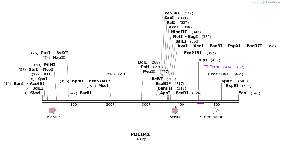 50261_map