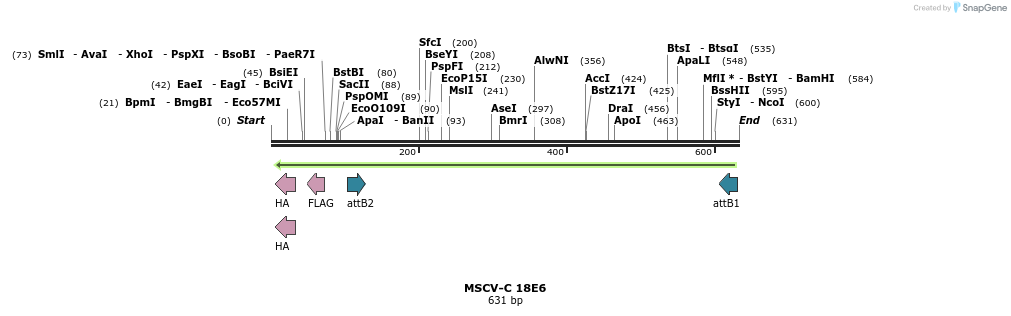 50270_map