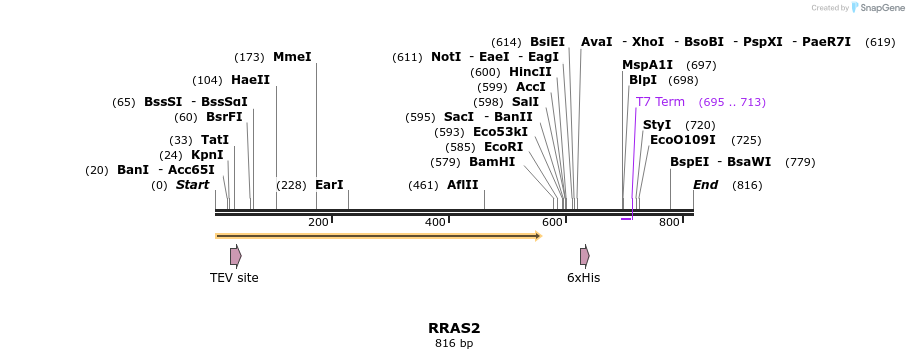 50273_map