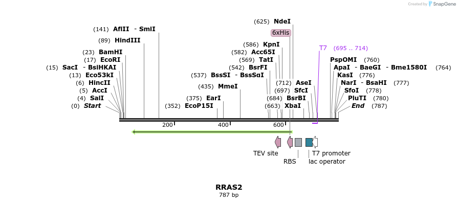 50274_map