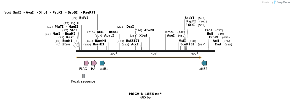 50276_map