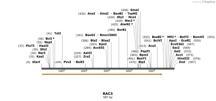50285_map
