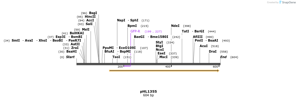 50286_map