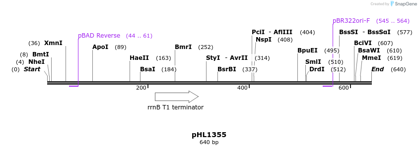 50289_map