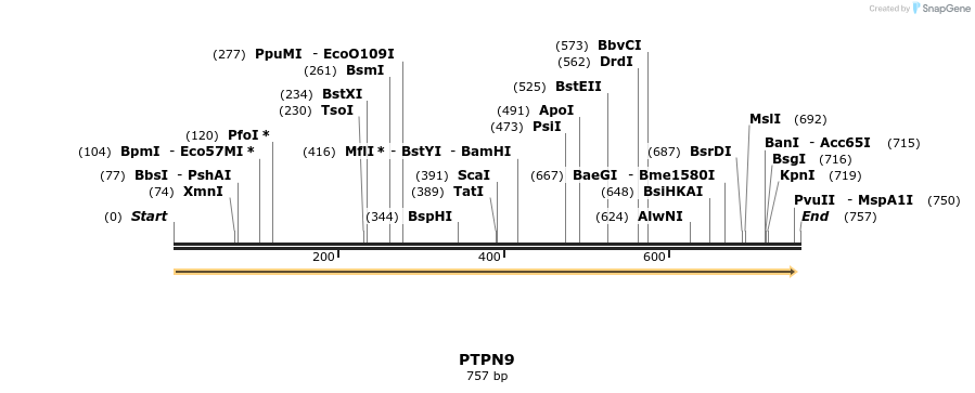 50291_map