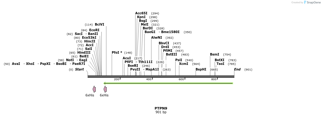 50293_map