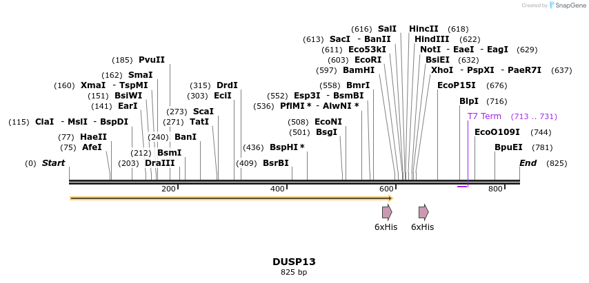 50294_map