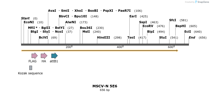 50296_map