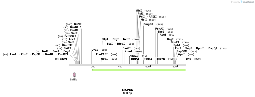 50297_map