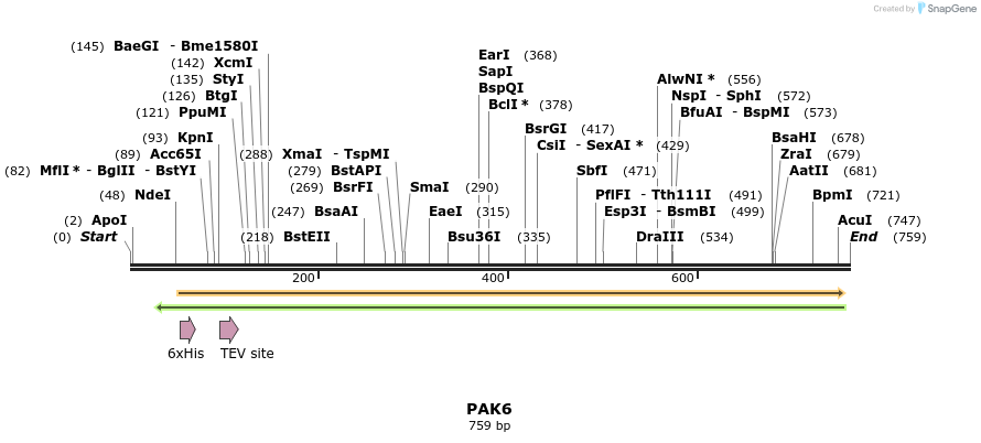50299_map
