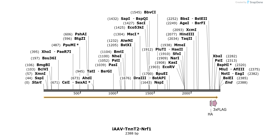 502992_map
