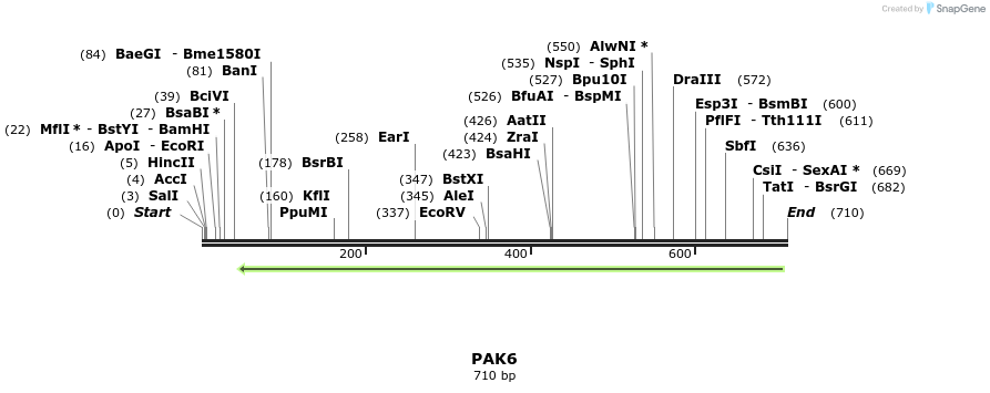 50300_map