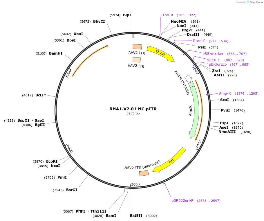 503012_map