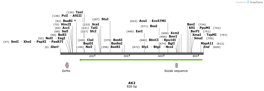 50302_map