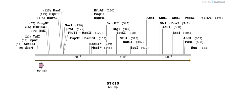 50303_map