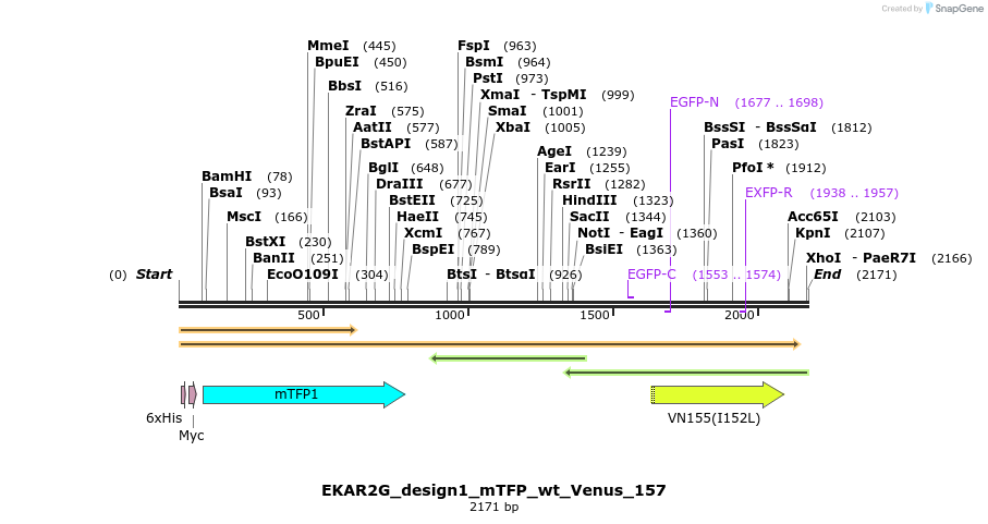 50306_map