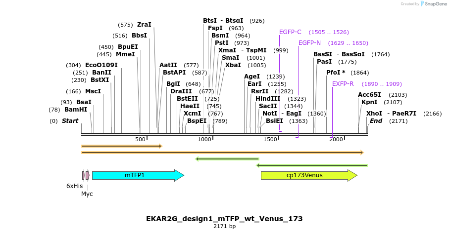 50307_map