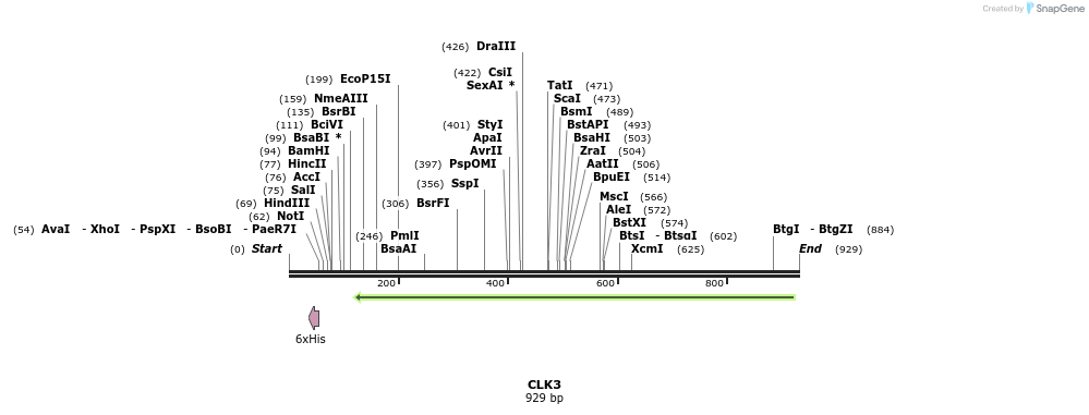 50309_map