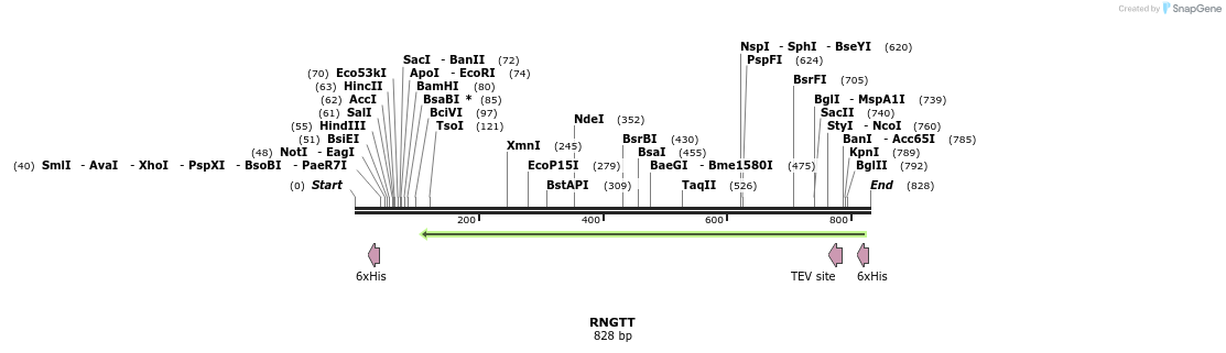 50312_map