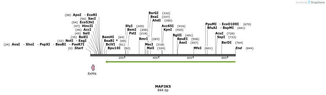 50313_map