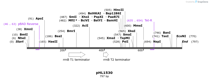 50314_map