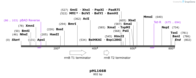 50315_map