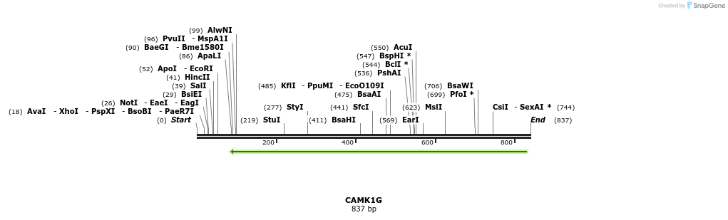 50316_map