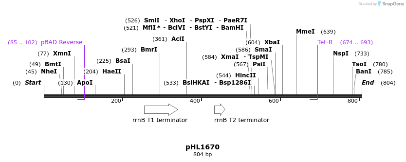 50317_map