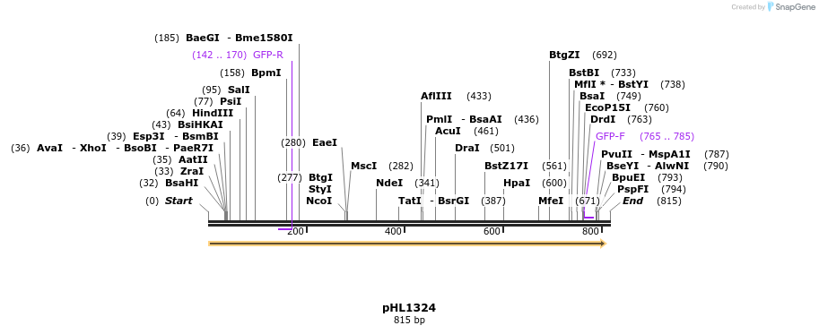 50319_map