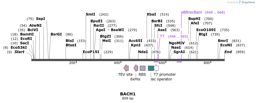 50325_map