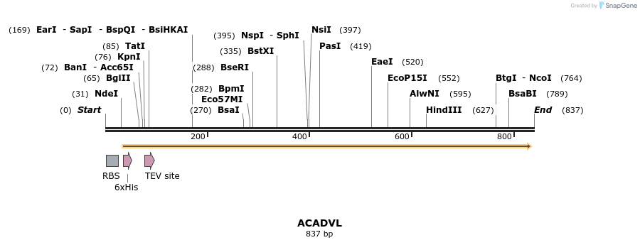 50326_map